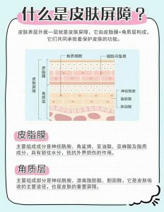 学会科学护肤，正确选择舒缓修复护肤品